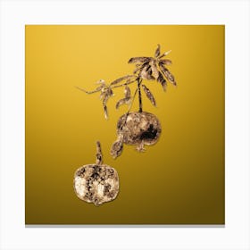 Gold Botanical Pomegranate on Mango Yellow n.1052 Canvas Print