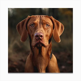 Portrait Of A Dog 6 Canvas Print