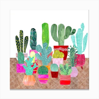 Cacti Square Canvas Print