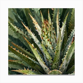 Leonardo Lightning Xl Watercolor Art A White Aloe Plant With G 2 Canvas Print