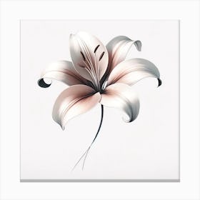 Lily flower Canvas Print