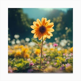 Sunflower In The Field 4 Canvas Print