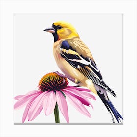 Goldfinch 3 Canvas Print