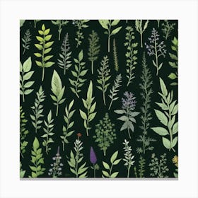 Herbs As A Background Mysterious (1) Canvas Print