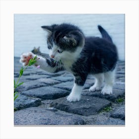 Kitten Playing With Flowers Canvas Print