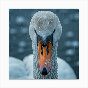 Swan In The Snow Canvas Print