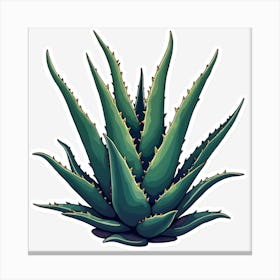 Aloe Vera Canvas Print