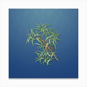 Vintage Common Sea Buckthorn Botanical on Bahama Blue Pattern n.2010 Canvas Print