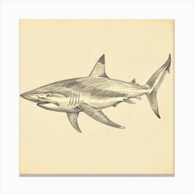 Vintage Shark Illustration 3 Canvas Print