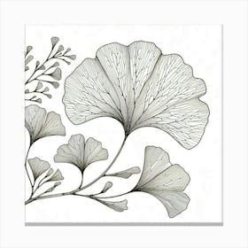 Line Art gingko leaves 3 Canvas Print