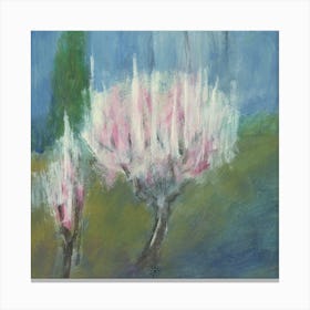 Apricot Blossom Canvas Print