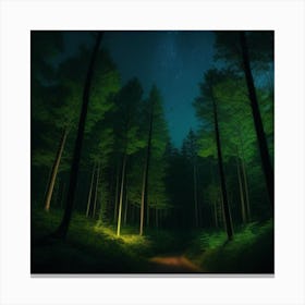 Dark Forest At Night 1 Canvas Print