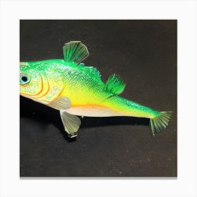 Bass Fishing Lure Canvas Print