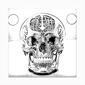 Skull And Brain Canvas Print