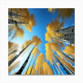 Aspen Trees In Autumn 2 Canvas Print