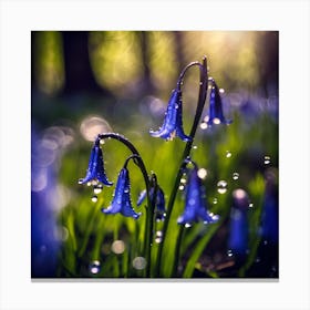 Intense Blue of Bluebells in Spring Canvas Print