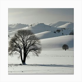 Lone Tree In Snow Canvas Print