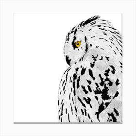 Snowy Owl White Square Canvas Print
