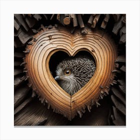 Heart Of A Hedgehog Canvas Print