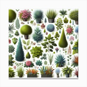 Set Of Plants In Pots Canvas Print