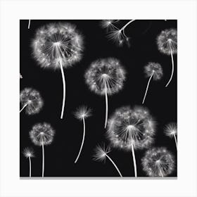 Dandelion 1 Canvas Print