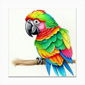 Parrot Canvas Print