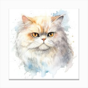 Domestic Shorthair Persian Cat Portrait 3 Canvas Print