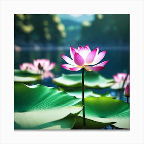 Lotus Flower 10 Canvas Print