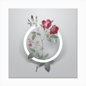 Vintage Velvet China Rose Minimalist Flower Geometric Circle on Soft Gray n.0022 Canvas Print
