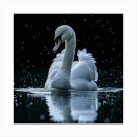 Swan In The Rain Canvas Print