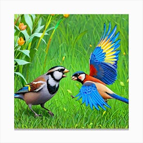 Two Birds Fighting In The Grass Canvas Print