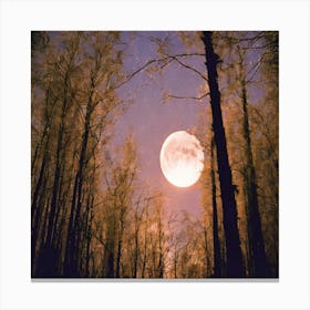 Full Moon In The Woods Canvas Print