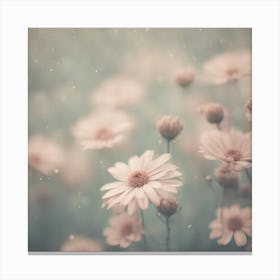 Daisy Field Canvas Print