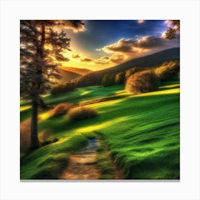 Sunset In A Green Field Canvas Print