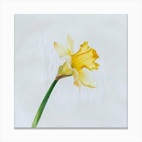 Daffodil 4 Canvas Print