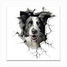 Border Collie 3 Canvas Print