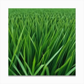 Green Grass Background 22 Canvas Print