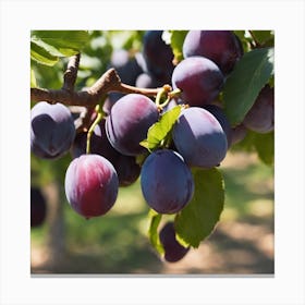 Plums On A Tree Canvas Print