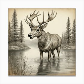 Deer In The Water 10 Canvas Print