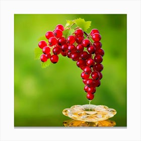 Red Currants Canvas Print