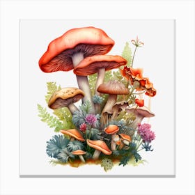 Mushrooms And Ferns Canvas Print