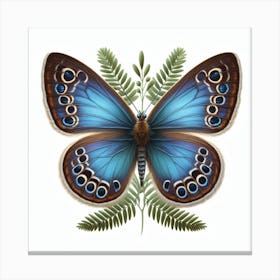 Butterfly of Neolycaena argali 2 Canvas Print