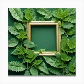 Frame With Mint Leaves Canvas Print