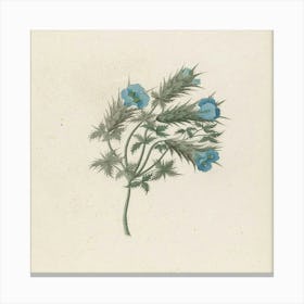 Blue Flowers Canvas Print