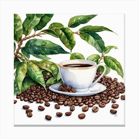 Coffee Beans And Leaves 12 Canvas Print