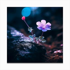 Up close on a black rock in a mystical fairytale forest, alice in wonderland, mountain dew, fantasy, mystical forest, fairytale, beautiful, flower, purple pink and blue tones, dark yet enticing, Nikon Z8 - Image 4 Canvas Print