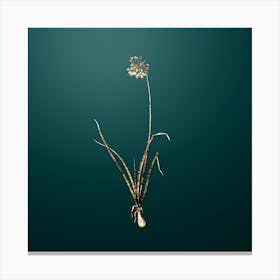 Gold Botanical Nodding Onion on Dark Teal n.4600 Canvas Print
