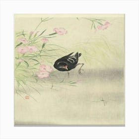 Bird In The Grass Canvas Print