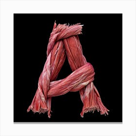 Letter A 14 Canvas Print