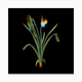 Prism Shift Summer Snowflake Botanical Illustration on Black n.0338 Canvas Print